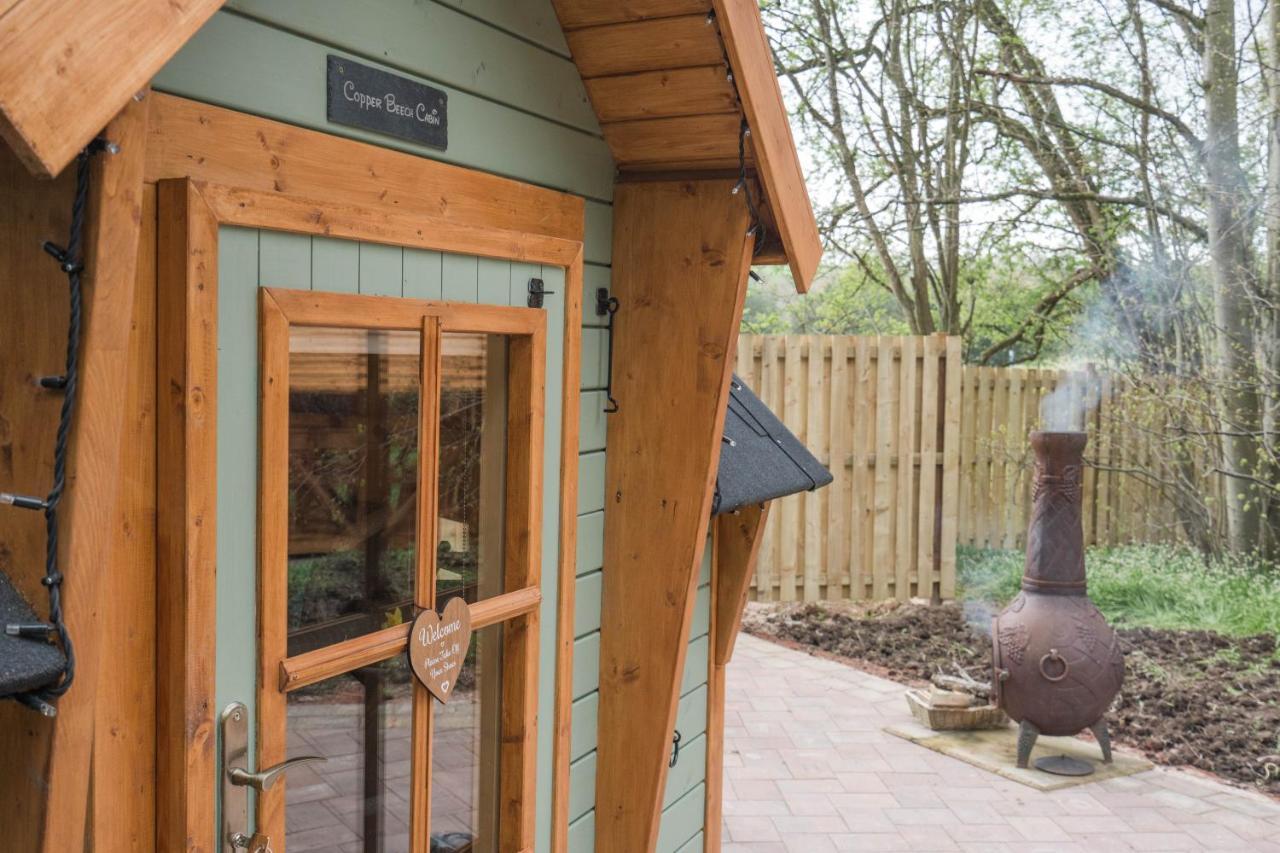 Cozy Carluke Lodge Retreat Exteriör bild