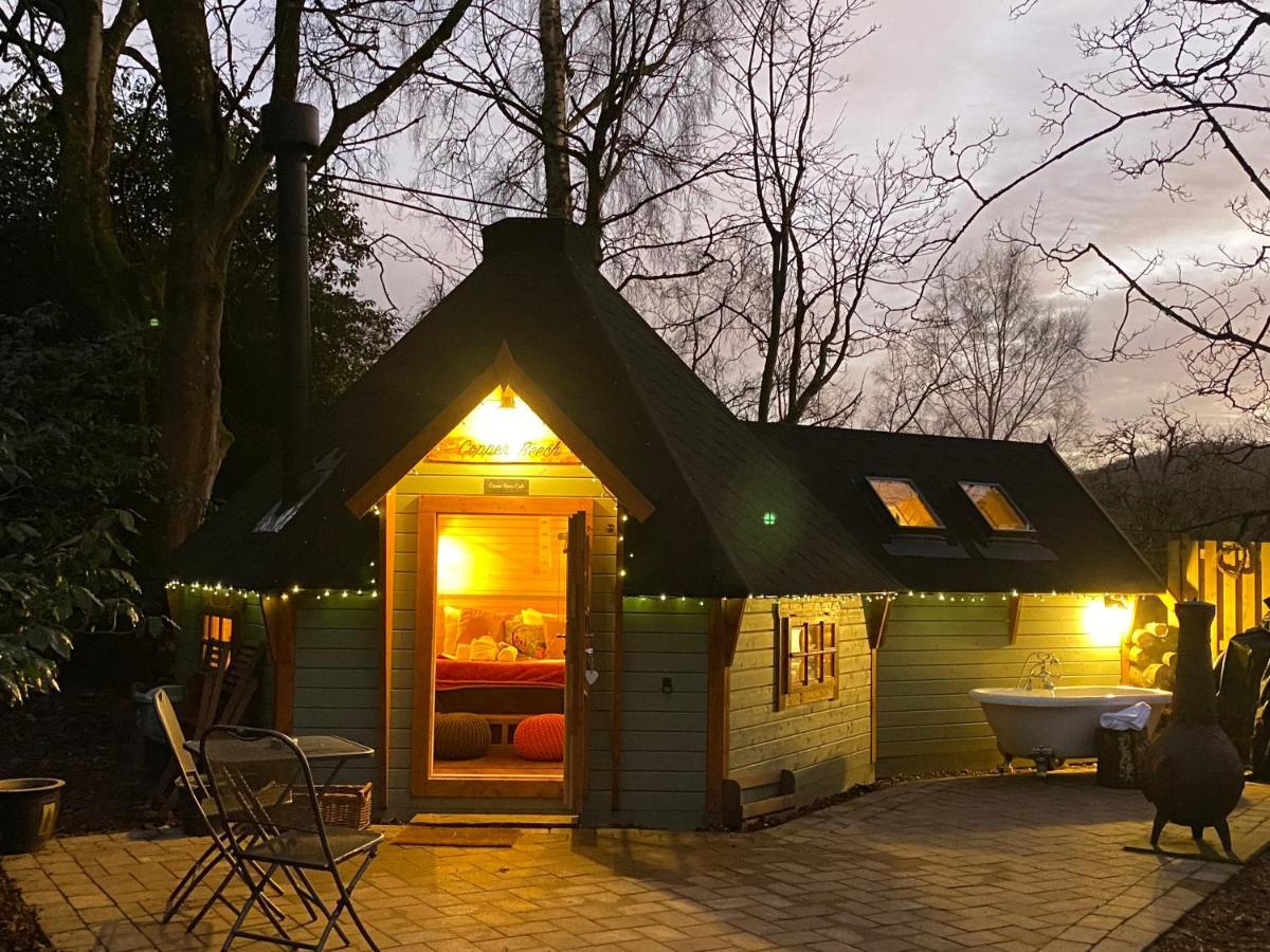 Cozy Carluke Lodge Retreat Exteriör bild